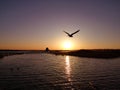 Juyan Lake Basin sunrise Royalty Free Stock Photo